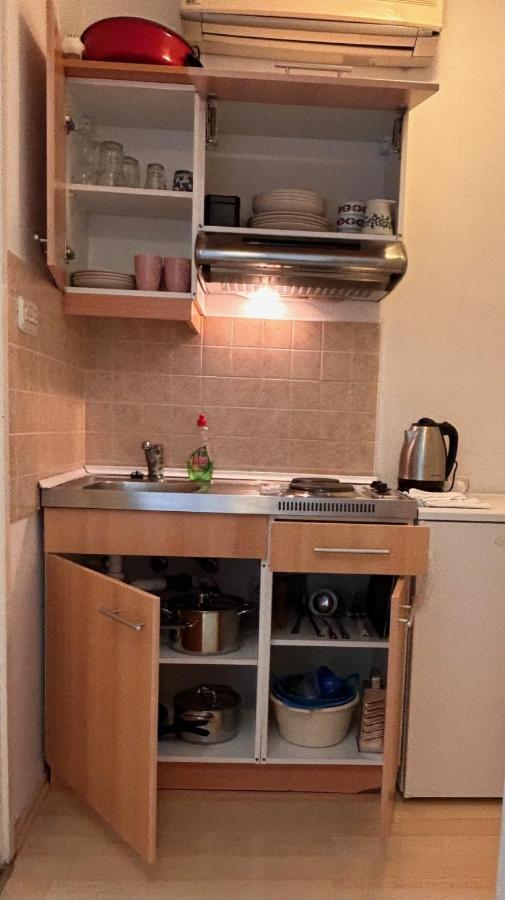 Apartment Alfirev Водице Екстер'єр фото